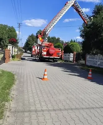 Strażacy usunęli niebezpieczną gałąź w Nowej Wsi Królewskiej
