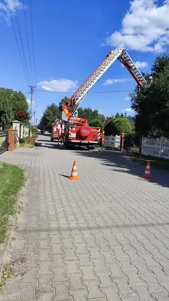 Strażacy usunęli niebezpieczną gałąź w Nowej Wsi Królewskiej