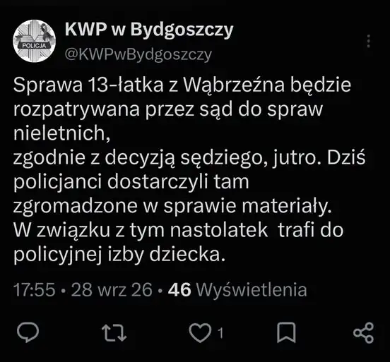 13-latek z Wąbrzeźna przed sądem rodzinnym. Policja przekazała akta sprawy