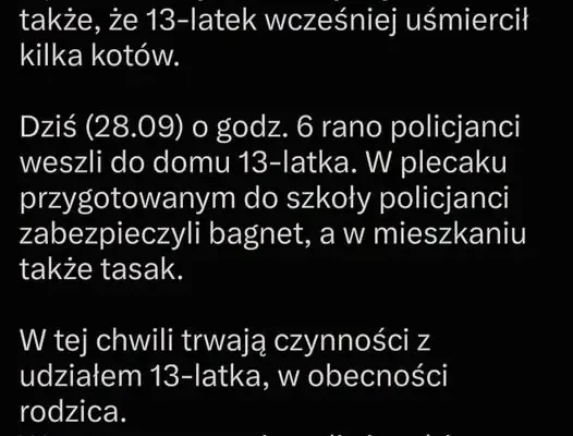 13-latek z powiatu wąbrzeskiego planował atak w szkole. Policja zabezpieczyła bagnet i tasak