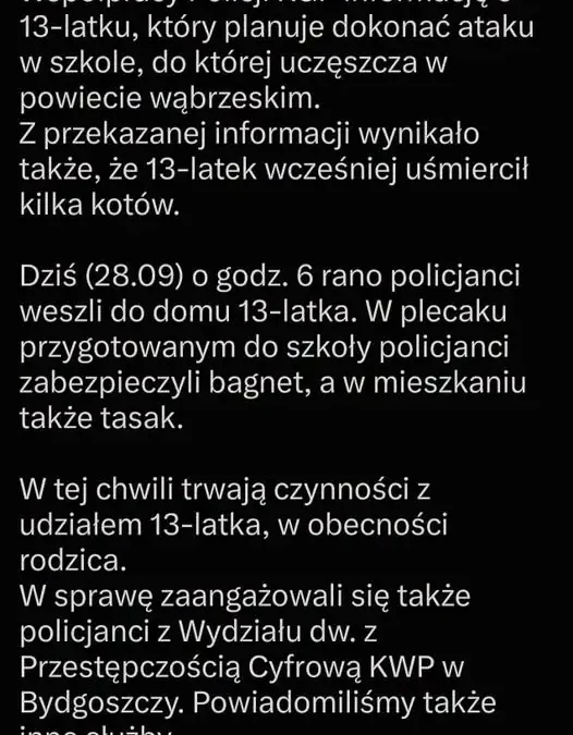13-latek z powiatu wąbrzeskiego planował atak w szkole. Policja zabezpieczyła bagnet i tasak