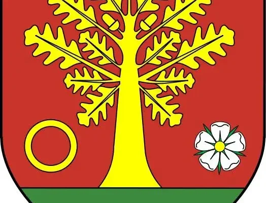 Klub młodzieżowy „Ogniomistrzowie” w Dębowej Łące pod lupą monitoringu – projekt z unijnym wsparciem