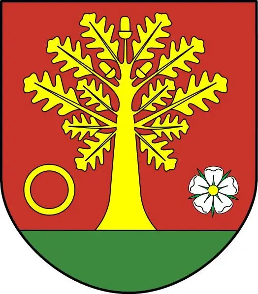 Klub młodzieżowy „Ogniomistrzowie” w Dębowej Łące pod lupą monitoringu – projekt z unijnym wsparciem